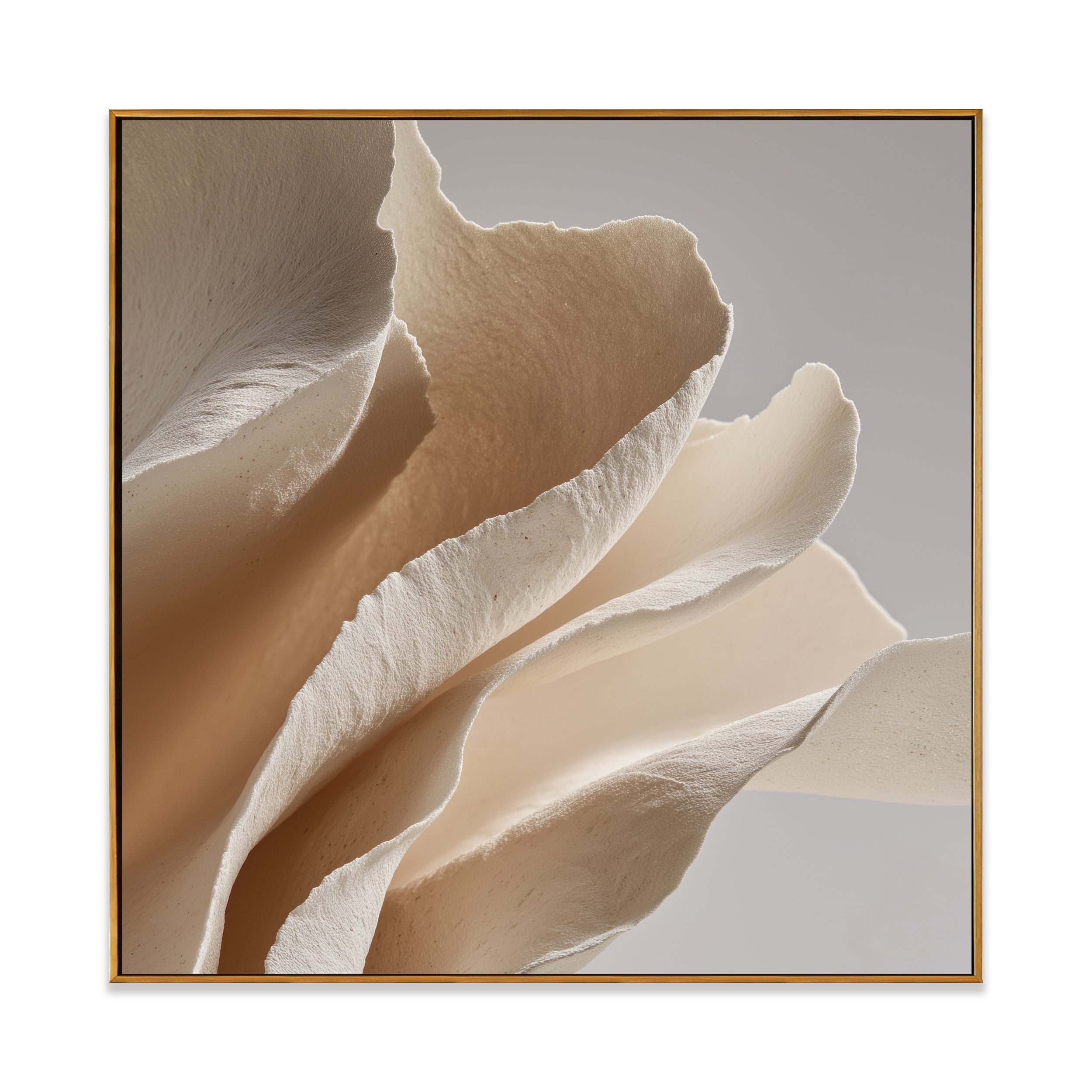 Plaster & Texture art #QS217